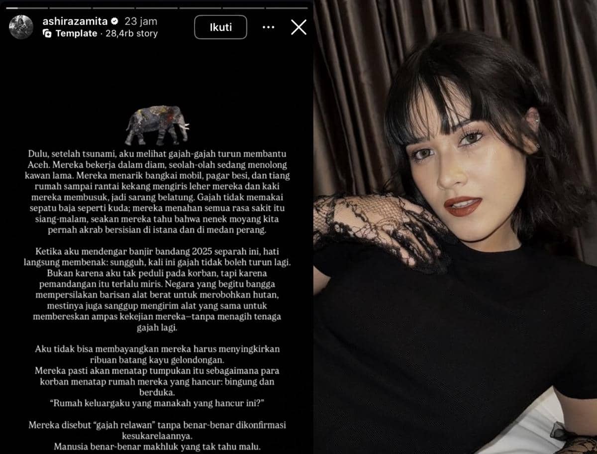 sederet artis protes gajah diturunkan bantu bersihkan puing banjir Aceh