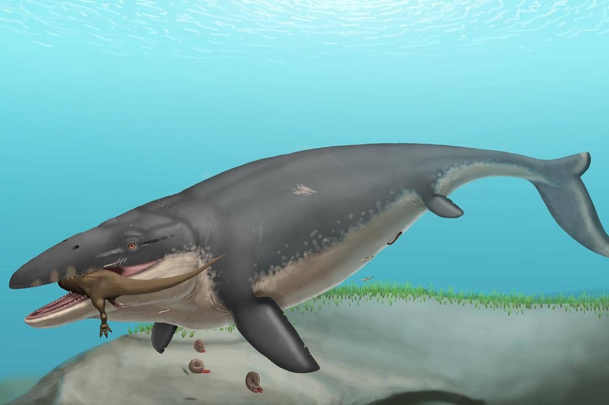 ilustrasi Mosasaurus hoffmannii