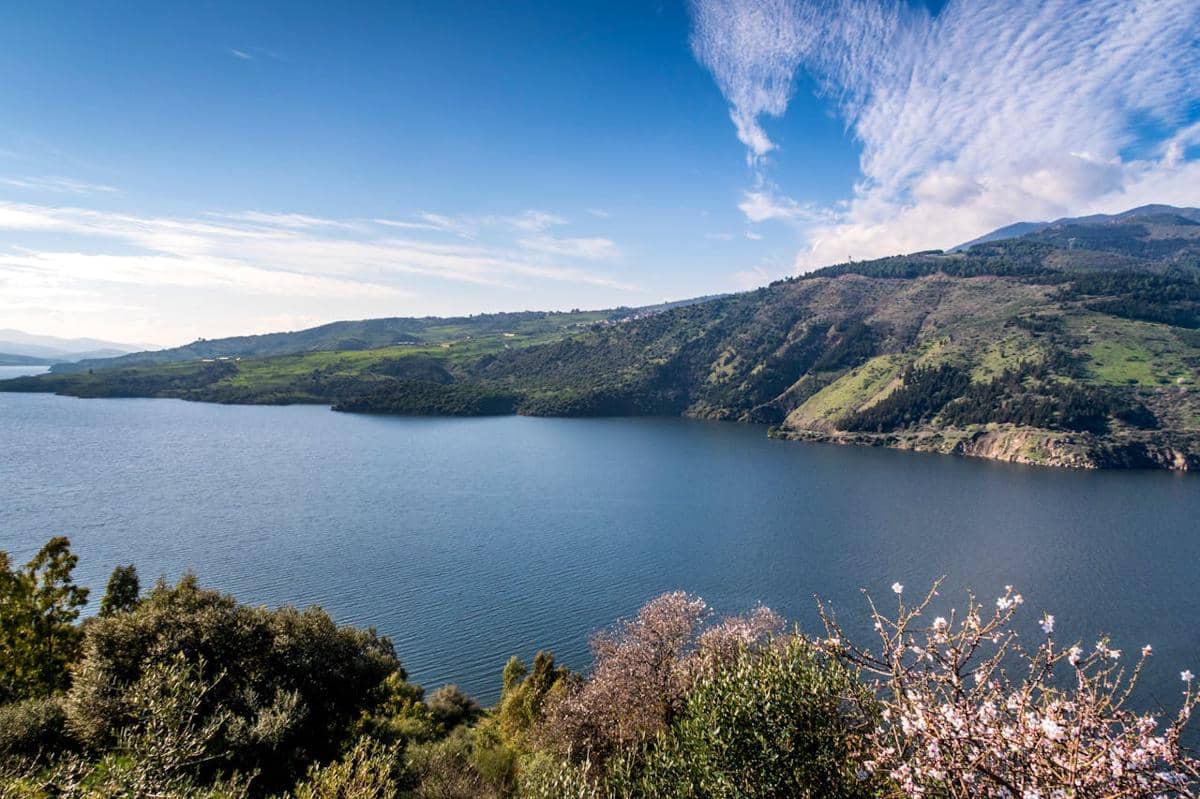 Ilustrasi pemandangan danau