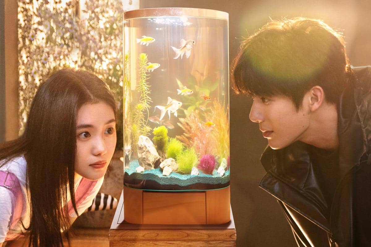 still cut drama China Be Passionately in Love