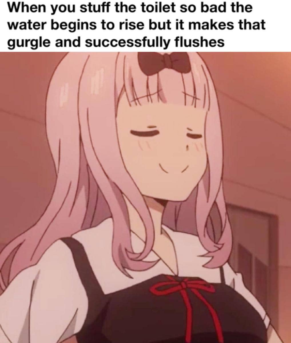 meme anime tentang flush toilet