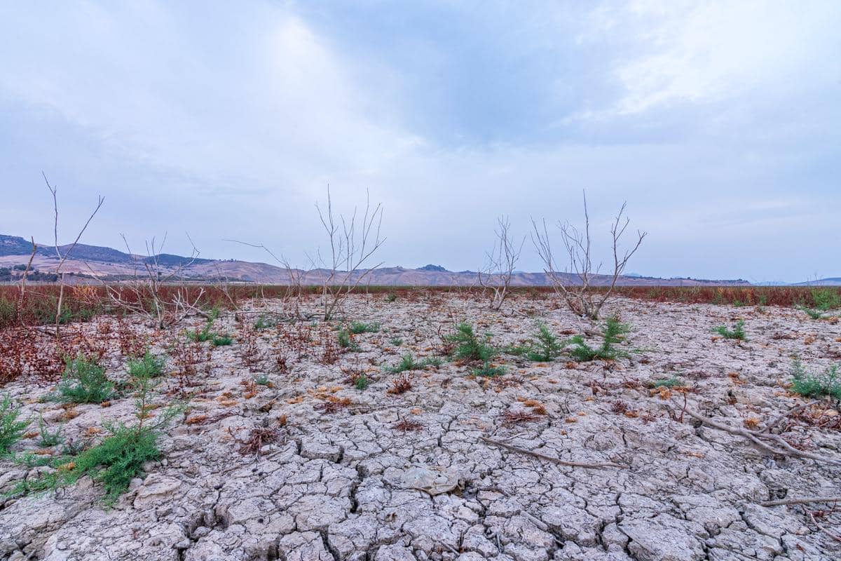 ilustrasi kondisi kekeringan
