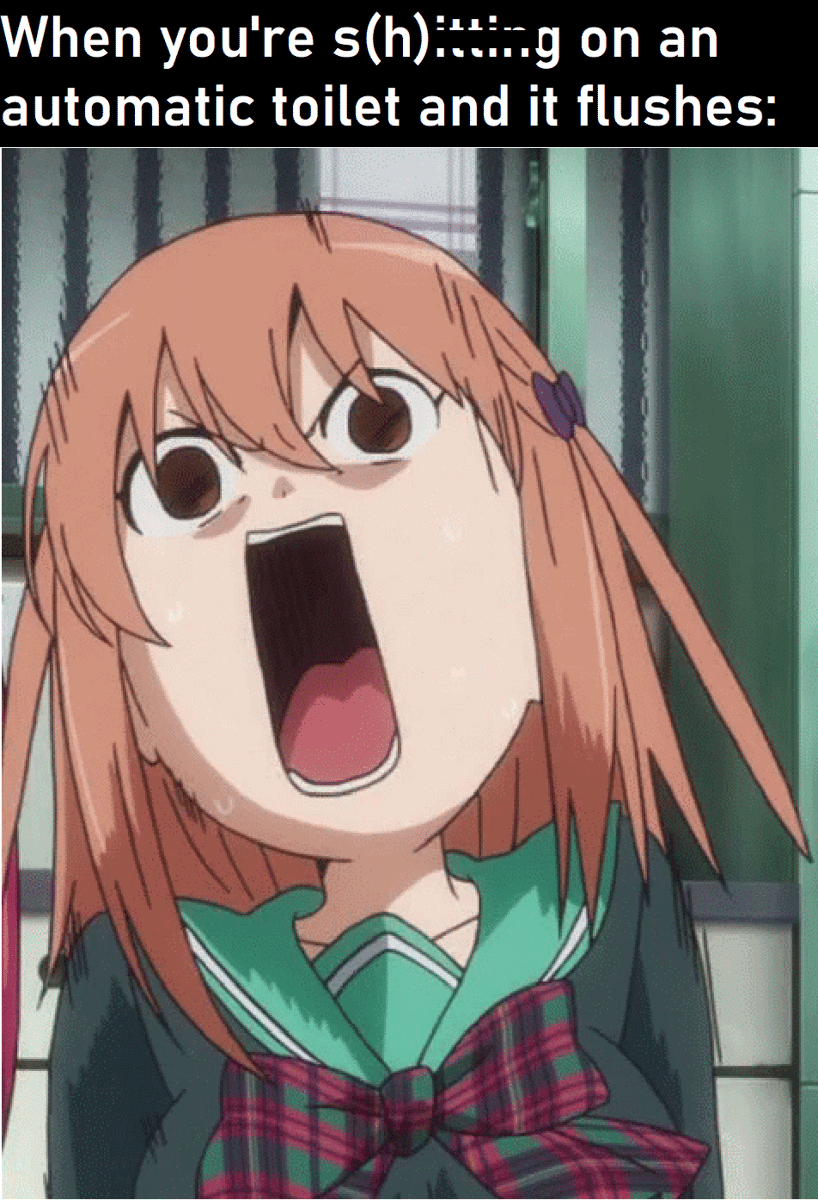 meme anime tentang flush toilet