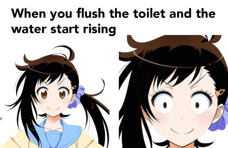 meme anime tentang flush toilet