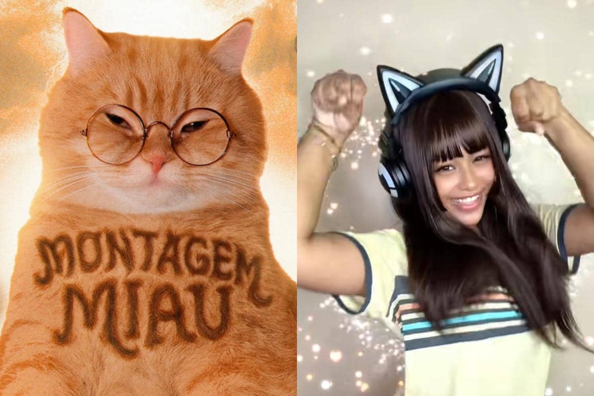 Lirik lagu Montagem Miau