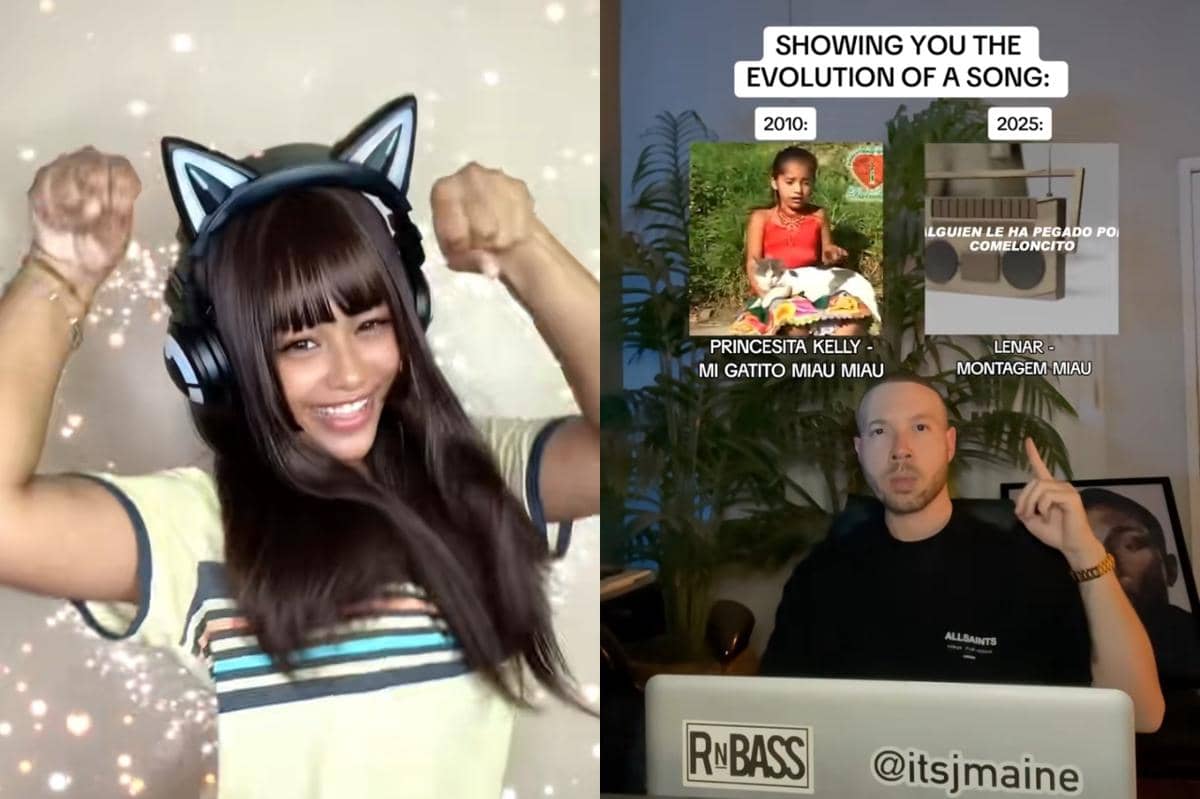 Lagu Montagem Miau - Lenar jadi sound viral