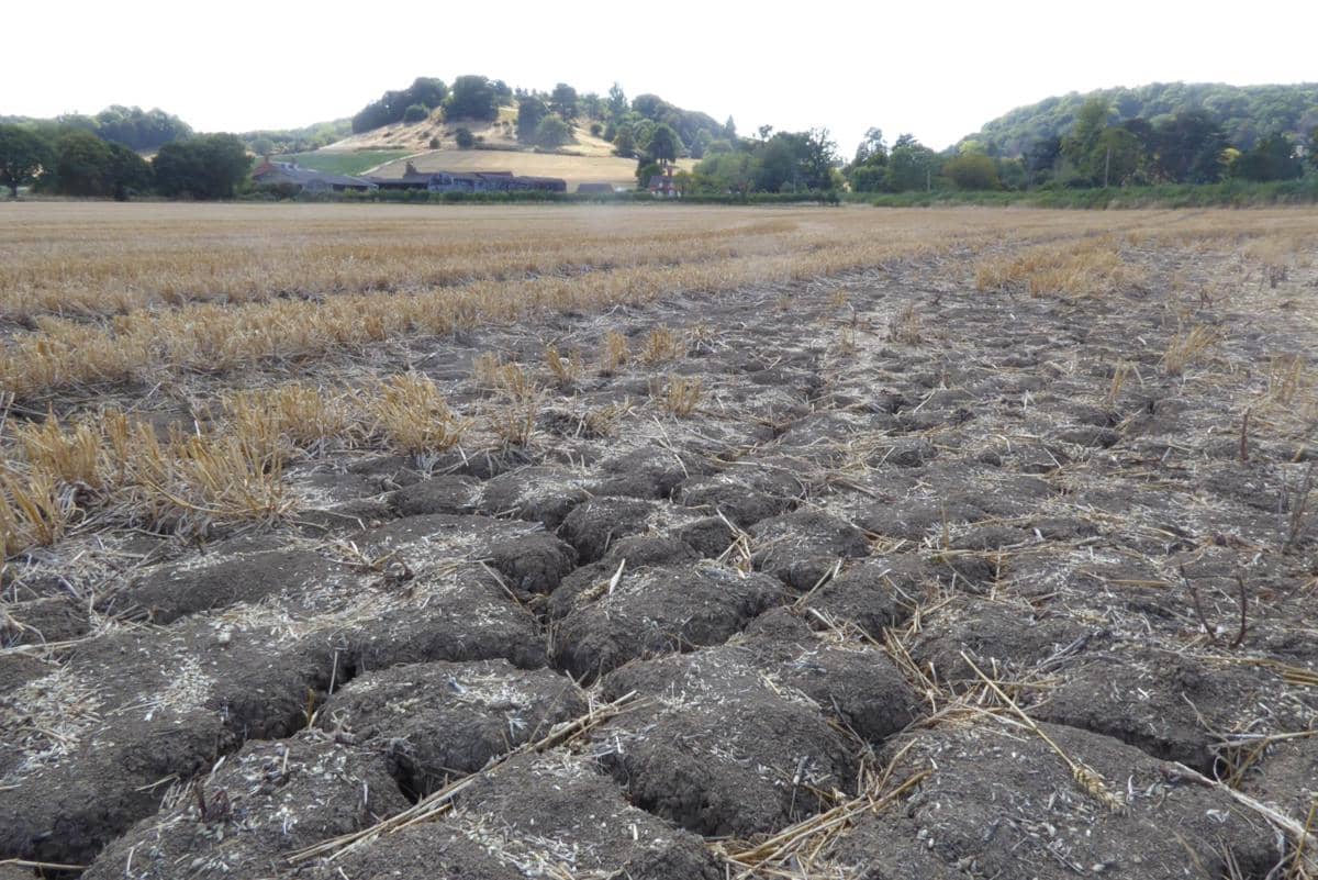 ilustrasi lahan pertanian kering yang memicu krisis pangan