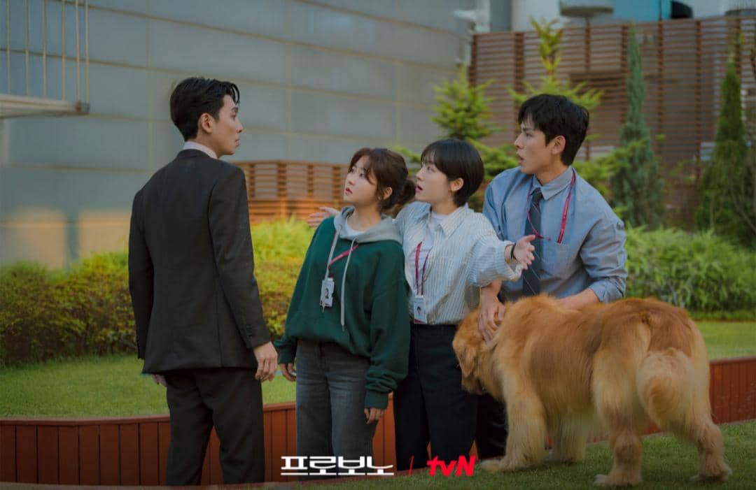 cuplikan drama Pro Bono