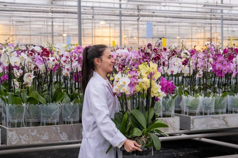 ilustrasi horticulturist