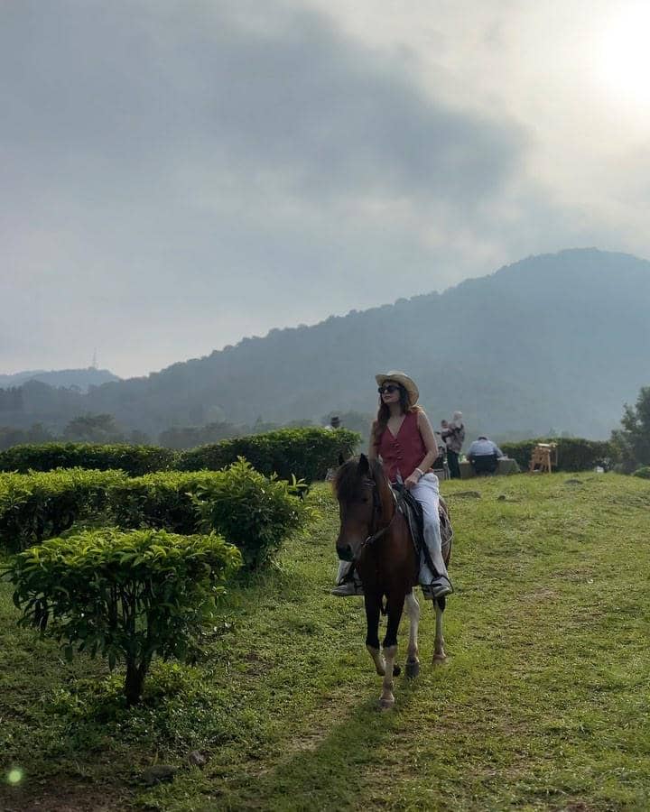 Sarah Keihl dan keluarga piknik di puncak.