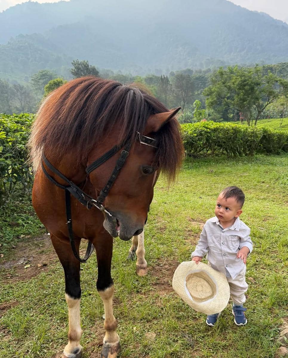 Sarah Keihl dan keluarga piknik di puncak.
