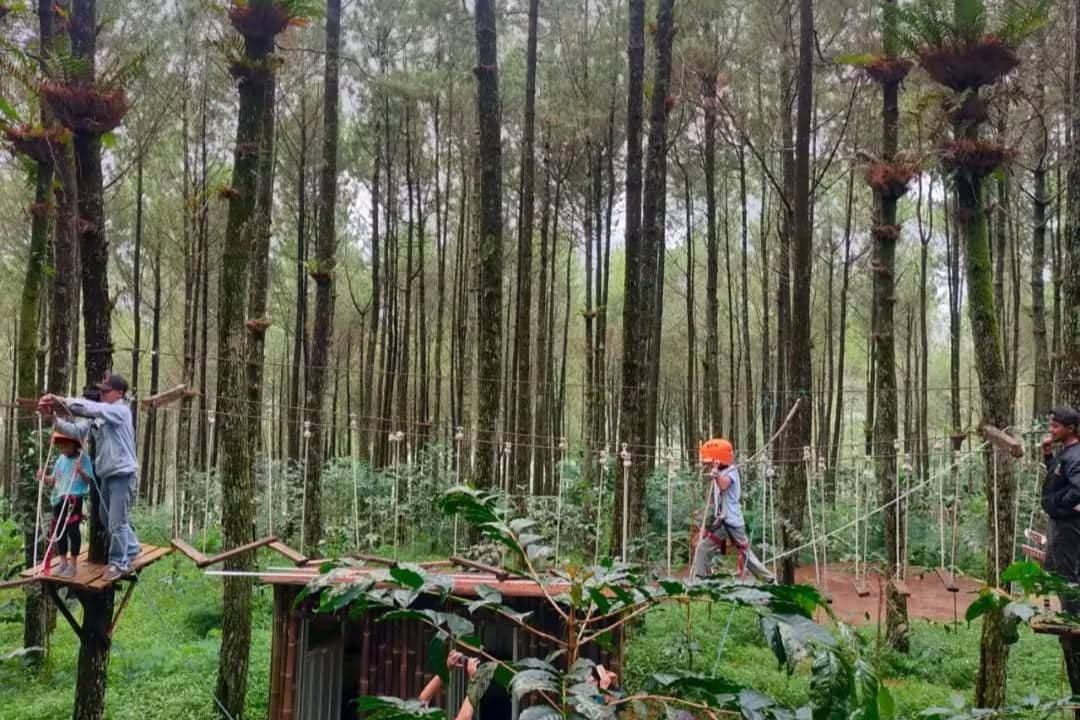 Kampung Pinus Keditan, Magelang