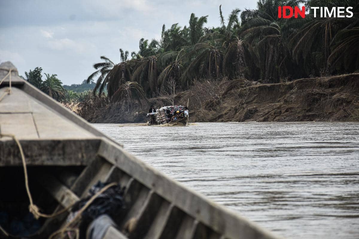 Pemandangan Sungai Tamiang dari perahu (IDN Times/Prayugo Utomo)