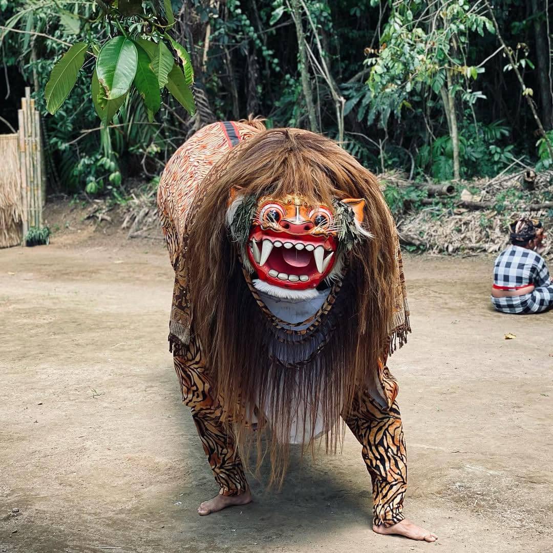 Potret Tetantria Macan Gading di Desa Wisata Penglipuran, Bali