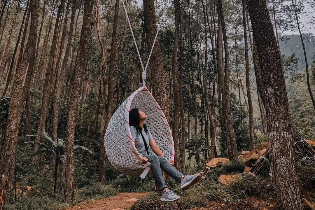 Pinea Forest Mangli, Magelang