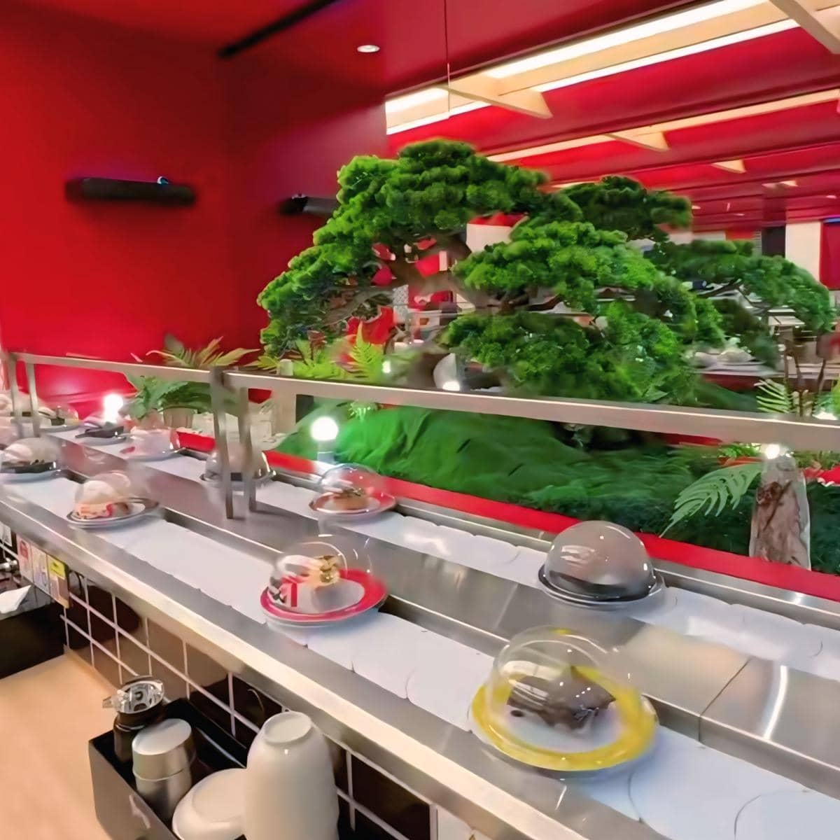 Tom Sushi Pertama di Lampung