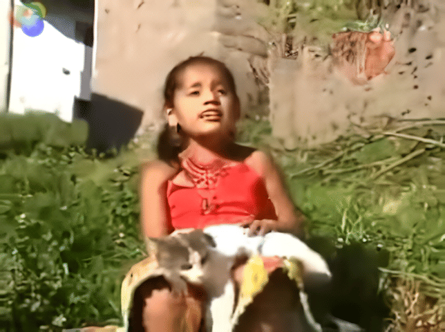 MV Princess Kelly, lagu asli Montague Miau alias Ay Mi Gatito 