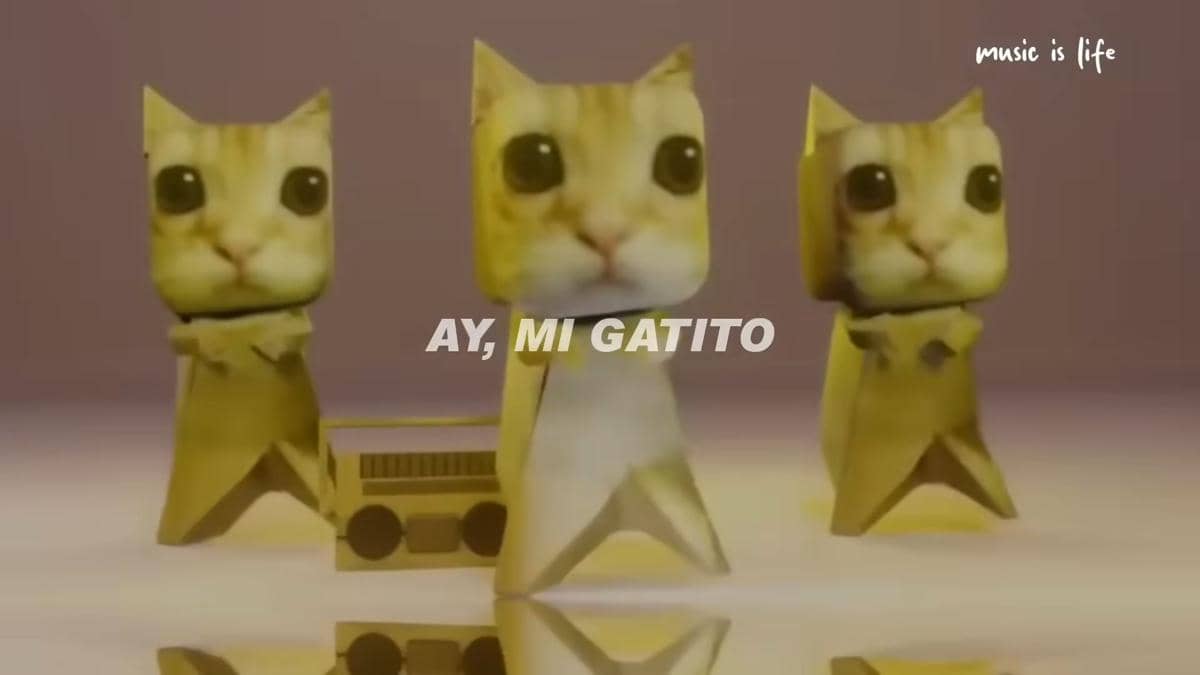 Lirik lagu Montague Miau alias Ay Mi Gatito