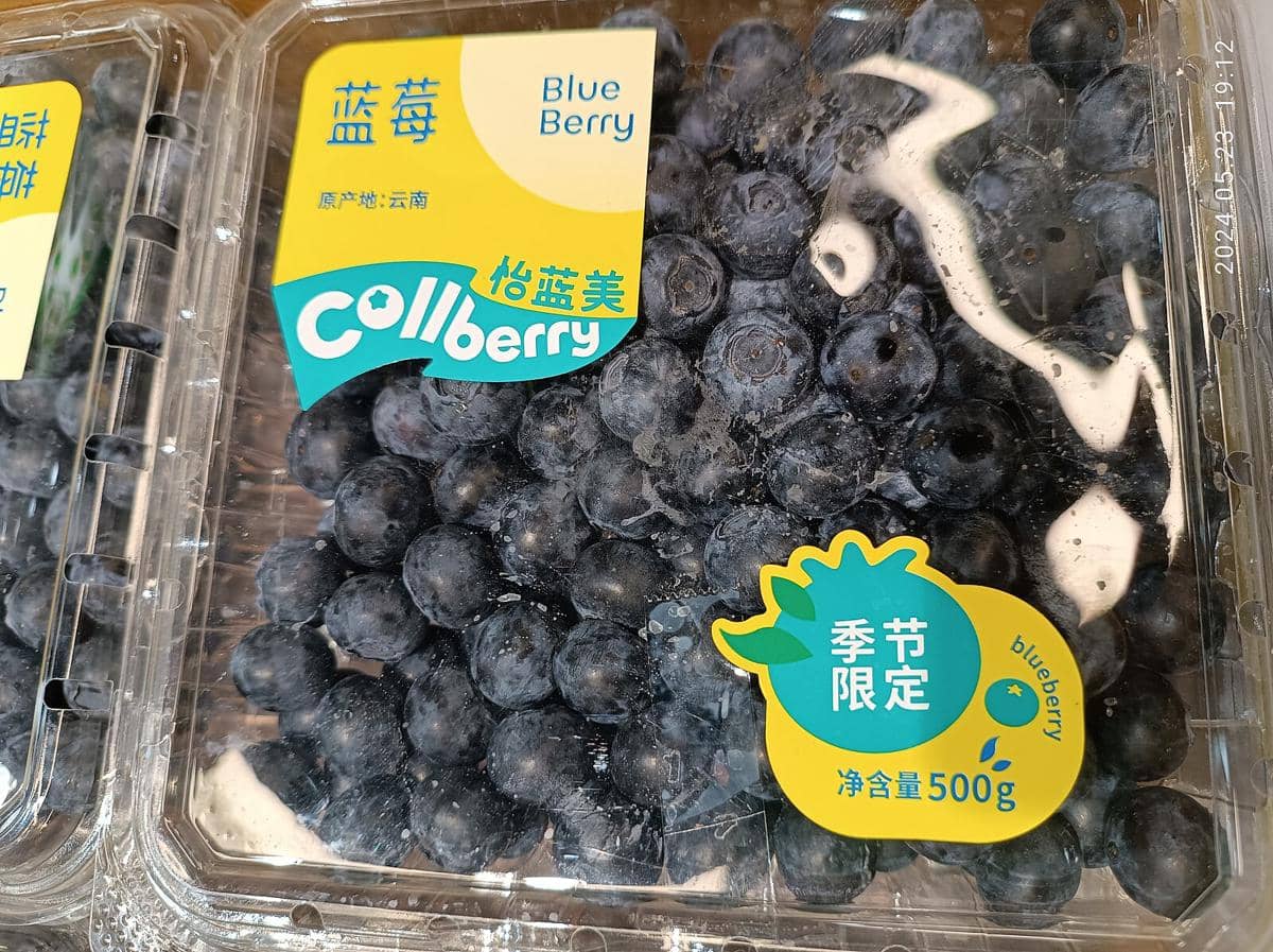 Ilustrasi buah dalam wadah tertutup