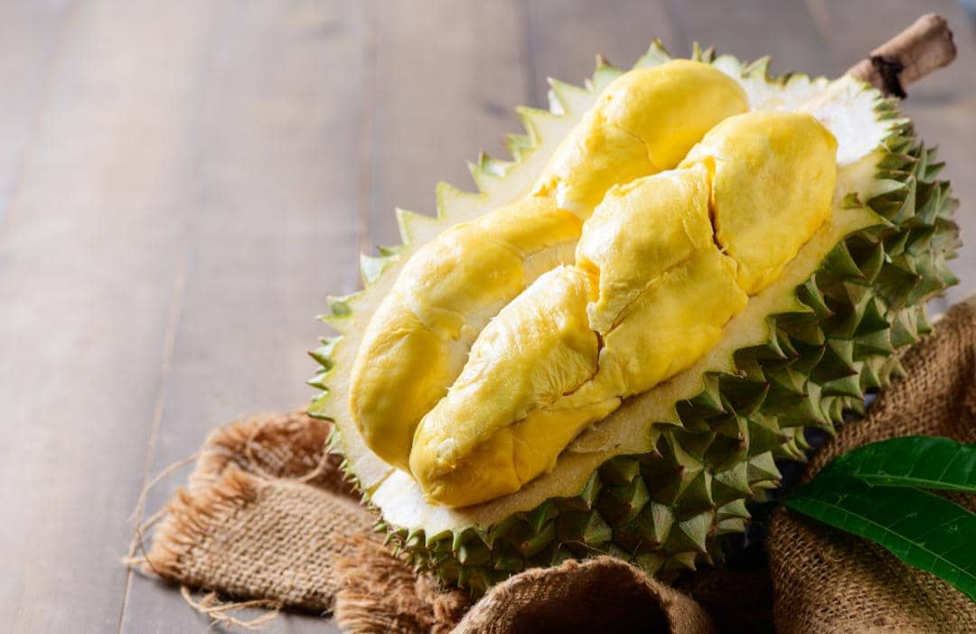 ilustrasi durian musang king