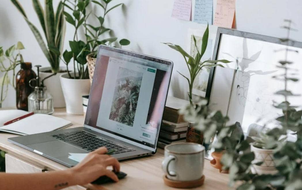 ilustrasi tanaman hias di meja