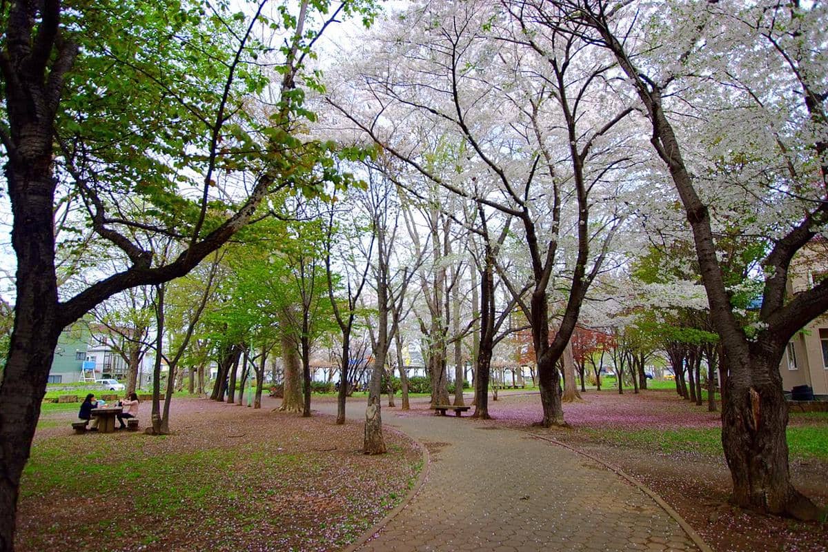 Shiroshi Park 