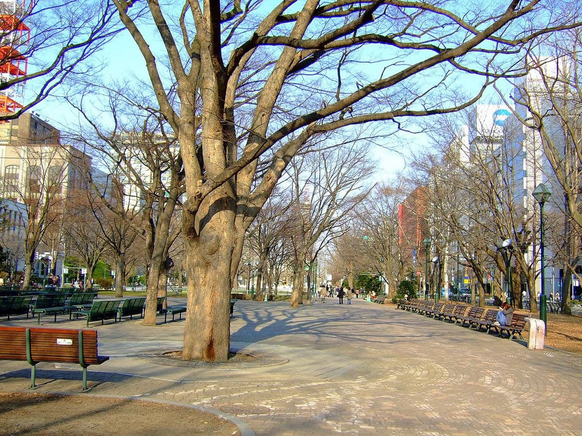 Odori Park