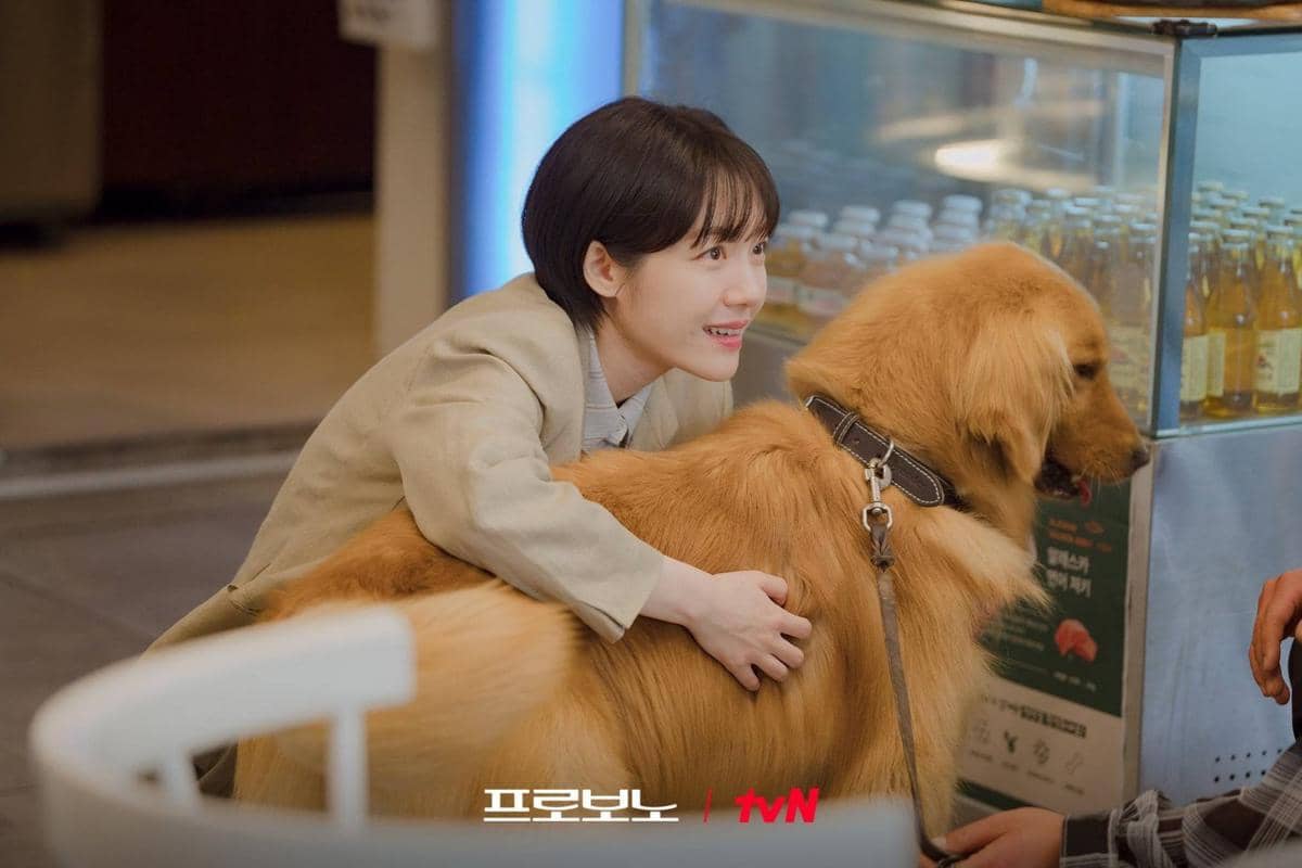 Cuplikan drama Korea Pro Bono