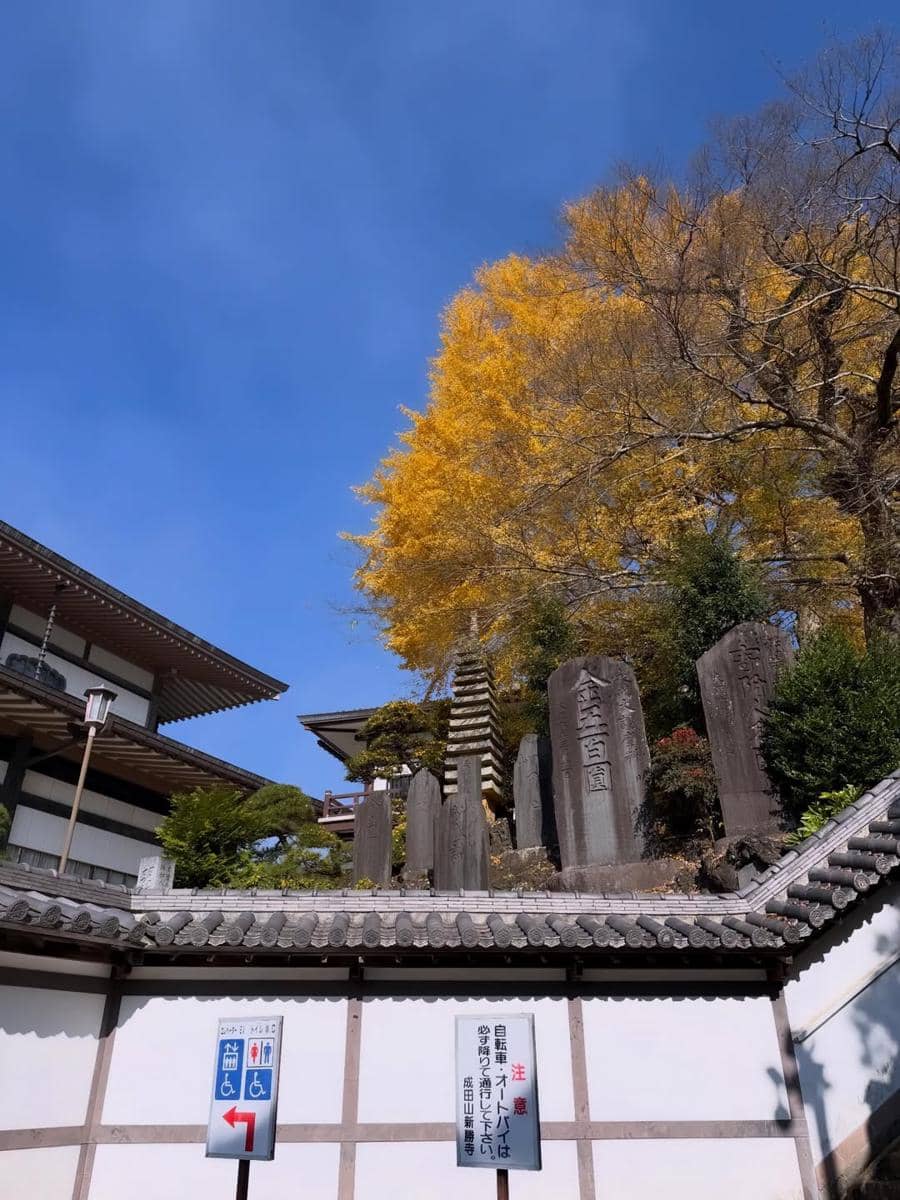 Ummi Quary saat menikmati musim gugur di Jepang