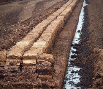 ilustrasi pemotongan lahan gambut 