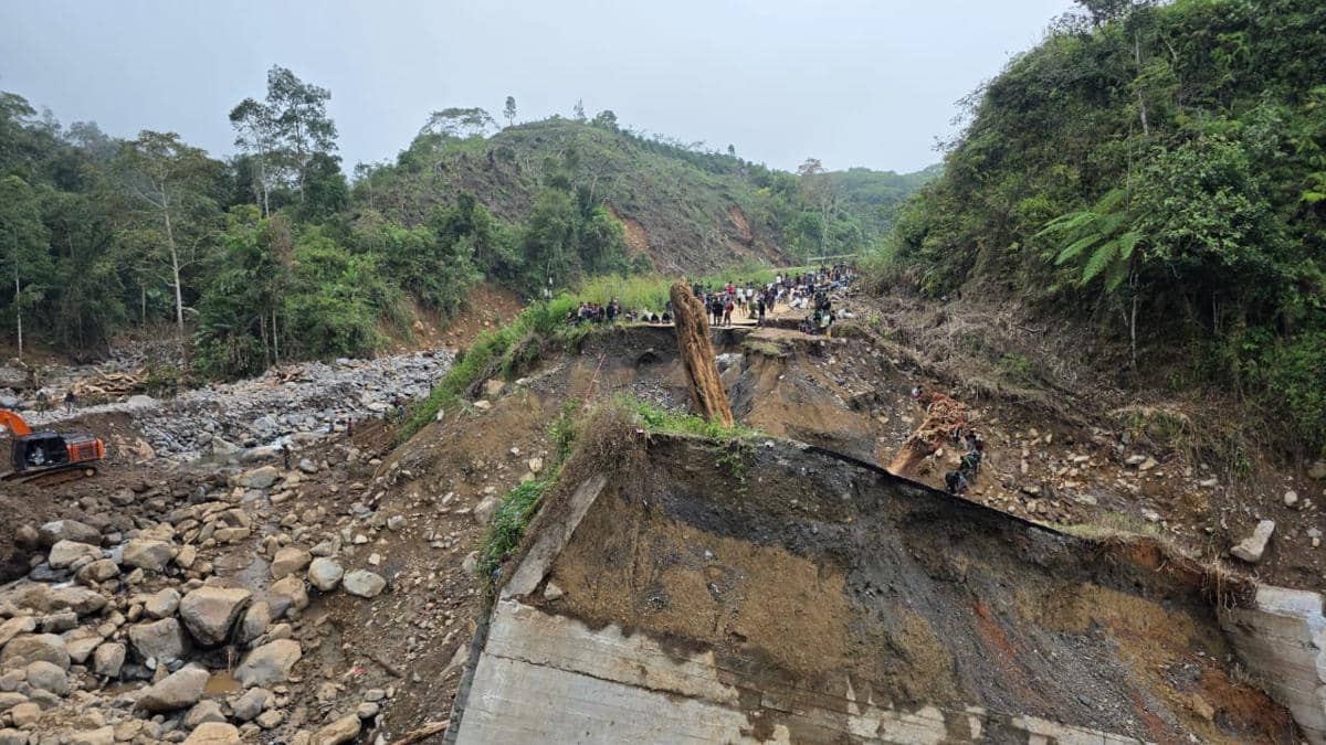 WhatsApp Image 2025-12-12 at 16.31.20.jpeg