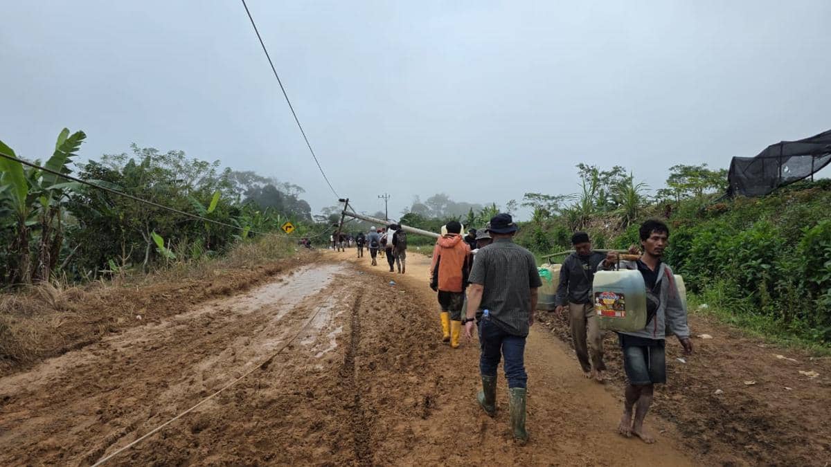 WhatsApp Image 2025-12-12 at 16.31.43 (1).jpeg