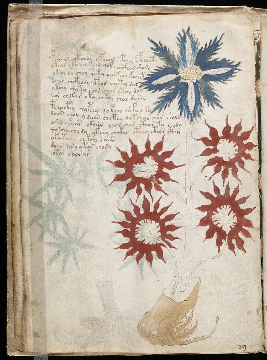 Sebuah halaman dari manuskrip Voynich yang misterius, yang hingga kini belum terpecahkan. Tanggal pembuatan pastinya tidak diketahui, diperkirakan ditulis pada abad ke-15 atau ke-16. ( Beinecke Rare Book & Manuscript Library, Yale University, Public domain, via Wikimedia Commons)