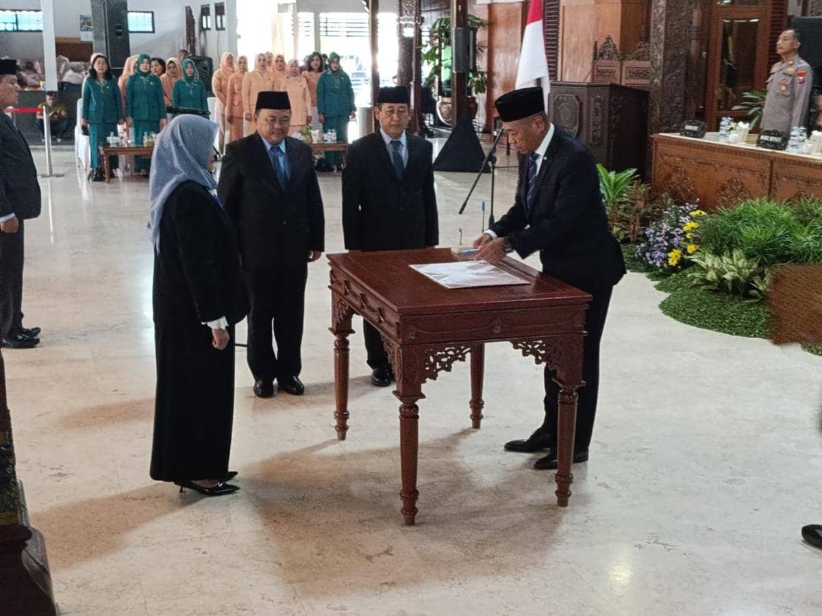 WhatsApp Image 2025-12-11 at 17.13.37.jpeg