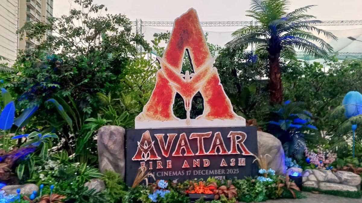 WhatsApp Image 2025-12-12 at 8.30.33 PM.jpeg