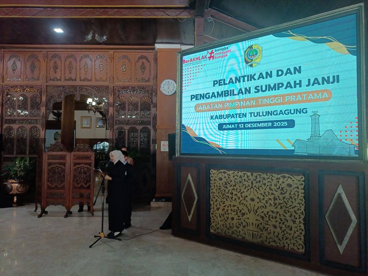 WhatsApp Image 2025-12-12 at 12.36.25.jpeg