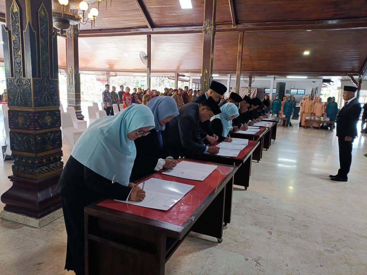 WhatsApp Image 2025-12-11 at 17.13.36 (1).jpeg