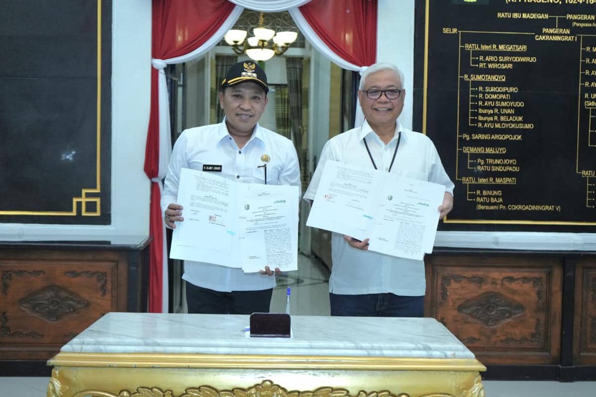 WhatsApp Image 2025-12-12 at 15.21.55.jpeg