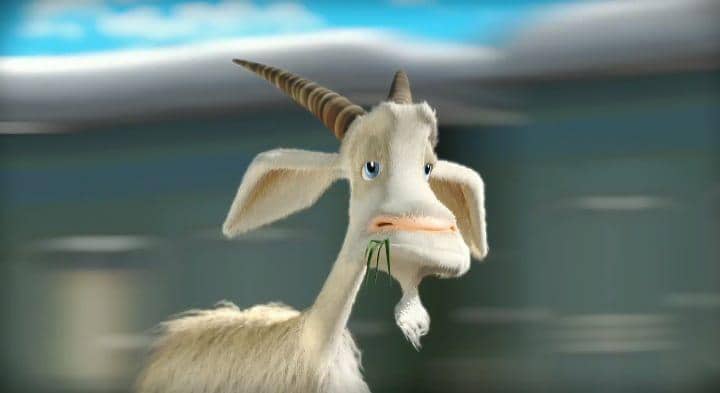 binatang peliharaan Masha