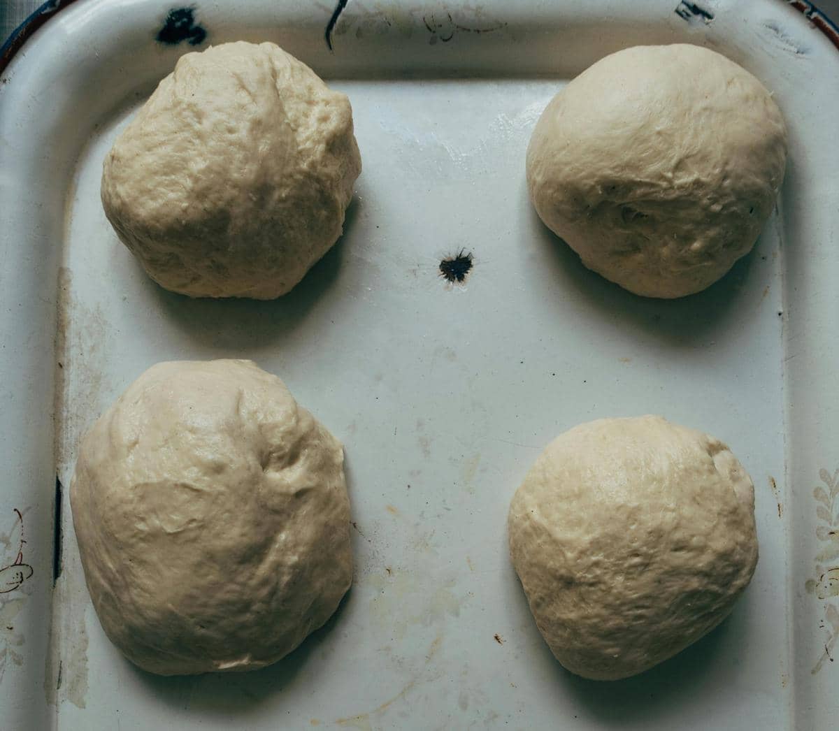 ilustrasi fermentasi adonan