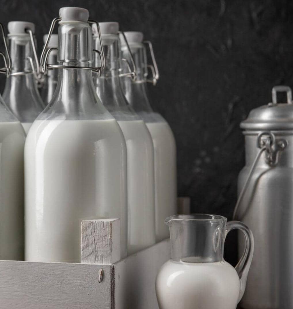 wadah menyimpan susu