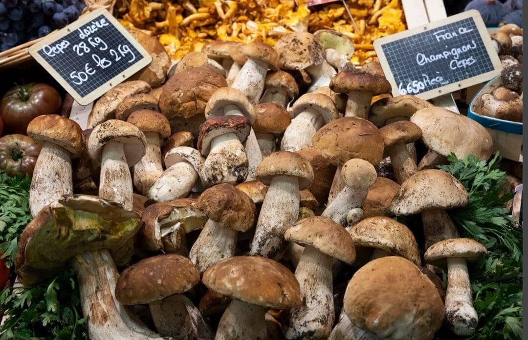 jamur di pasar