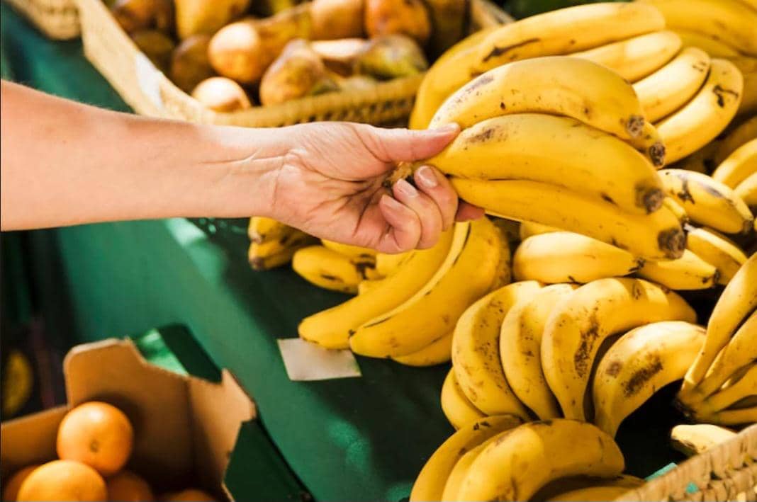 ilustrasi memilih pisang