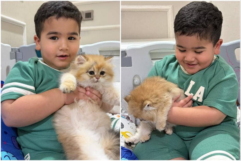 Anak Tasya Farasya punya kucing kecil