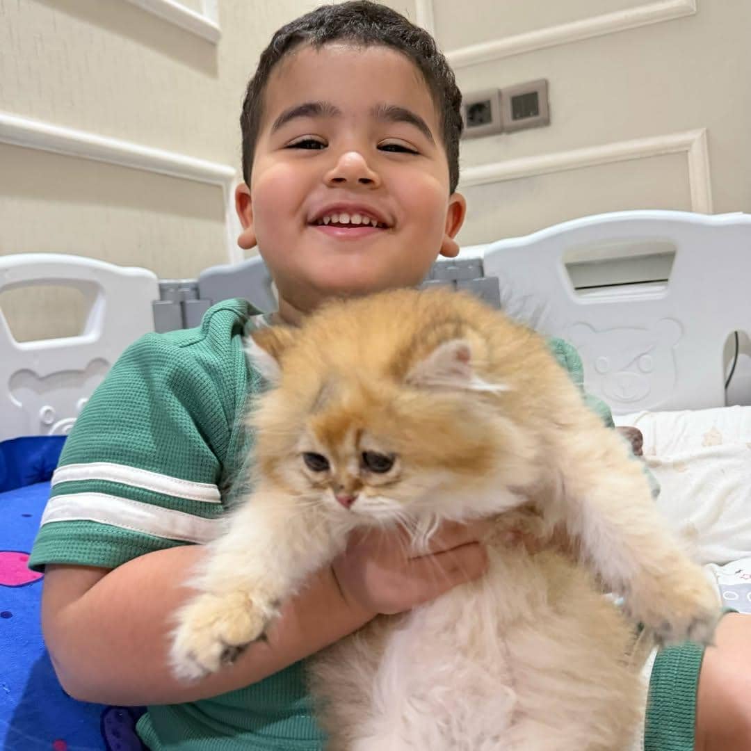 Anak Tasya Farasya punya kucing kecil