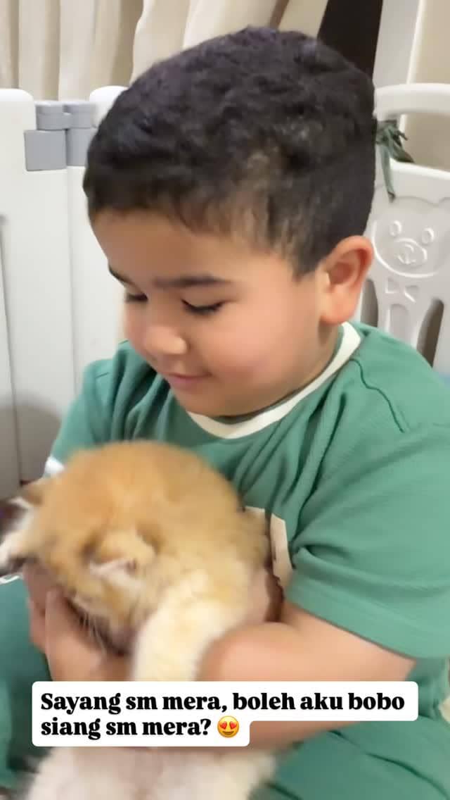 Anak Tasya Farasya punya kucing kecil