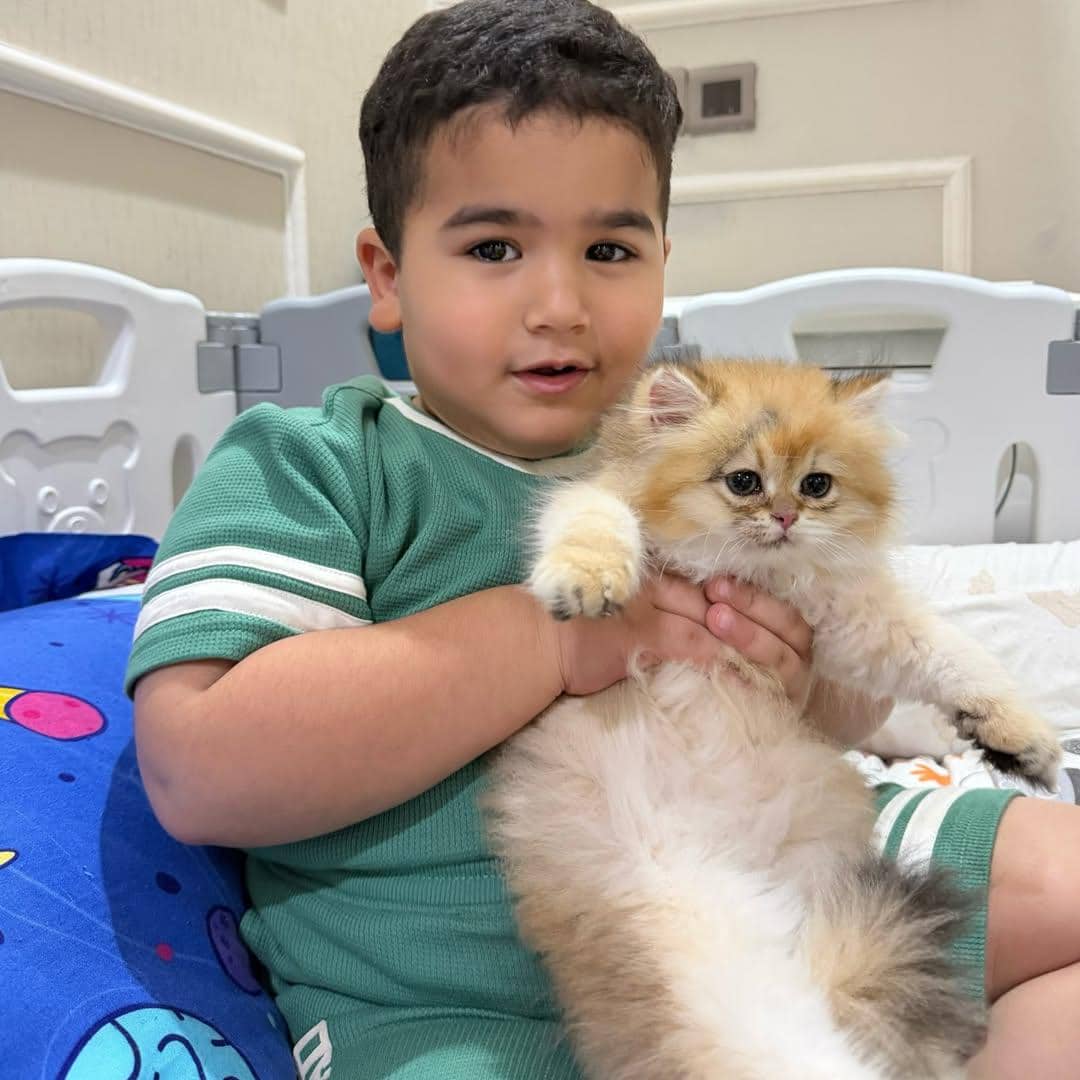 Anak Tasya Farasya punya kucing kecil