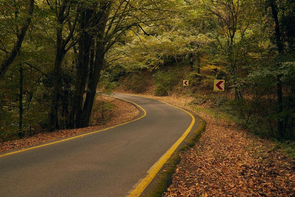 Pilihan mobil berdasarkan jalan favorit