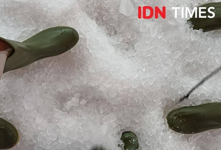 Potret bermain salju di Christmas Aurora, Mal Ciputra, Jakarta Barat