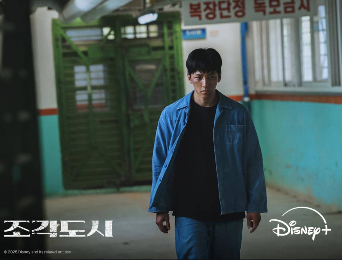 Drama The Manipulated